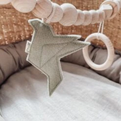 BEZISA Birds Wagenspanner Pistache Green 7 BEZISA Birds Wagenspanner Pistache Green -Winkel Voor Babyreisartikelen 8720618125453 18d7