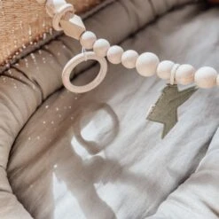 BEZISA Birds Wagenspanner Pistache Green 8 BEZISA Birds Wagenspanner Pistache Green -Winkel Voor Babyreisartikelen 8720618125453 1 9132